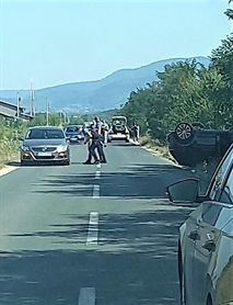 Picture 3